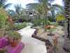 Yool Caanal's palm shaded tropical gardens make a grand entrance.
