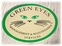 green eyes logo