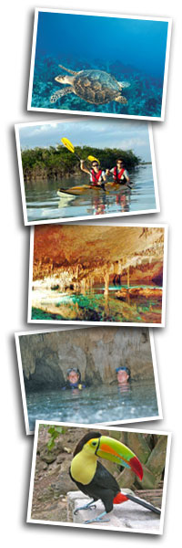 photos of eco adventures