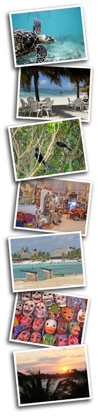 Photos of Akumal